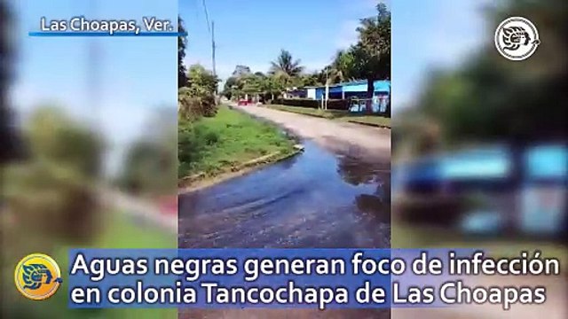 Aguas negras generan foco de infección en colonia Tancochapa de Las Choapas