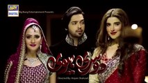 Dusri Biwi Episode 20 - Hareem Farooq - Fahad Mustafa - ARY Digital