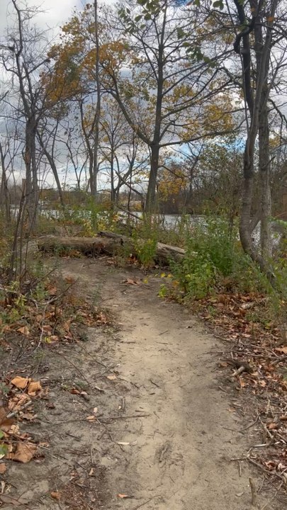 Walking in nature