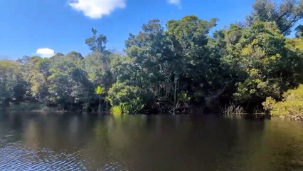 Visite des lémuriens au Palmarium (Ankanin'ny Nofy) ainsi que le lac Ampitabe, le canal de Pangalane