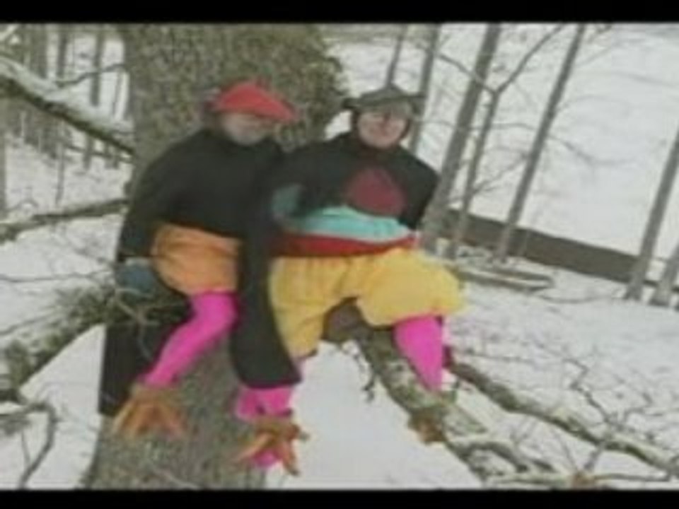 Kreisiraadio - Linnud Tõnisted