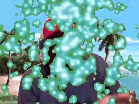 Baron Tremayne Caple/Foxy Kitsune Fox: Wishes Donald Trump Deporting Furry/Furries/Fursonas/Fursuits