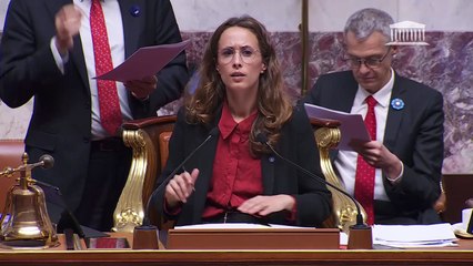 2ème séance : Suite du projet de loi de finances pour 2025 (première partie) - Jeudi 7 novembre 2024