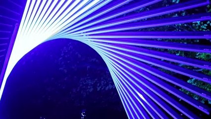 London's Kew Gardens opens annual festive light trail