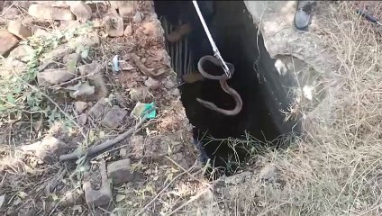 एसीबी केम्पस में क्यू मच गई सनसनी, दे​खिए वीडियो