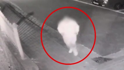 코로나 유행 당시 마스크 투자 사기 벌인 60대 송치 / YTN