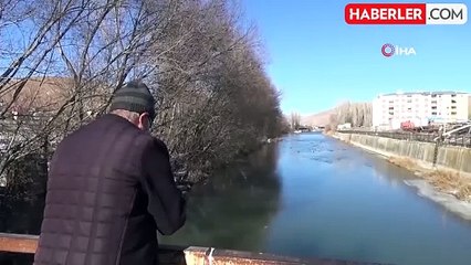 Kışın Habercisi Yaban Ördekleri Bayburt'ta