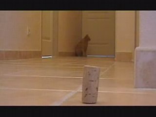 Marcel le bouchon Haute Qualité