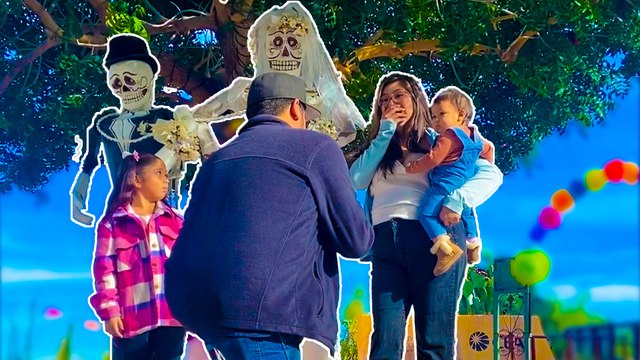 The Most Heartwarming Anniversary Surprises & Proposals Compilation