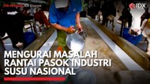 Mengurai Masalah Rantai Pasok Industri Susu Nasional