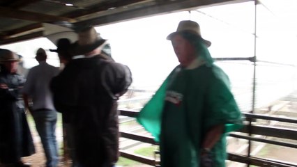Hails stops Warwick sheep sale | Qld Country Life | November 2024