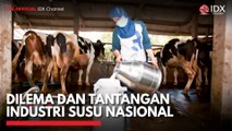 Dilema dan Tantangan Industri Susu Nasional