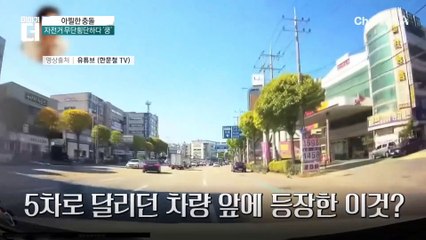 아찔한 충돌…자전거 무단횡단하다 ‘쿵’