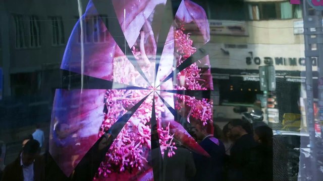 “Pulmones que laten” para visibilizar la estrecha relación entre el corazón y los pulmones