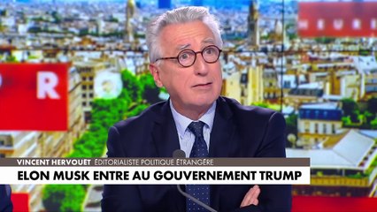 Elon Musk entre au gouvernement Trump, Céline Dion VS Siri : L’Heure des Pros du 13/11/2024