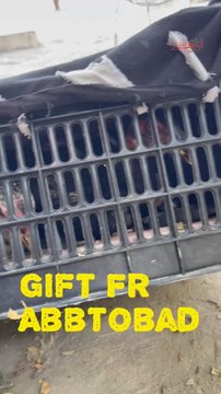 Gift From Germany 🇩🇪 From Shoaib Bahi Waho Really Elegant Gift 🎁 Thanks Bro #teetarchickd #gifts #poultrybussnis # @top fans 0300 0751419 Rayan Pets Zone Flowers For You Videos FD Petshop Birds Lover Abdul Ghaffar Kingdom Solutions