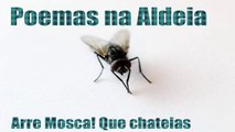 Poemas Na aldeia: Arre mosca que chateias