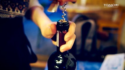 JUAL WINE COOLER STORAGE DENGAN KAPASITAS 28 BOTOL - TOMORI WINE COOLER WX 28F