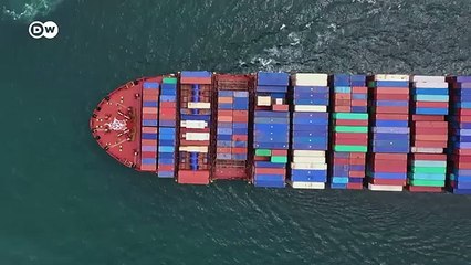 Can the global criminal network be destroyed  DW Documentary_360P