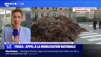"L'accord avec le Mercosur c'est non en l'état", souligne Valérie Hayer (députée européenne)