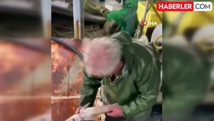 Duyarlı Balıkçı, Mersin Balığını Suni Teneffüsle Kurtardı