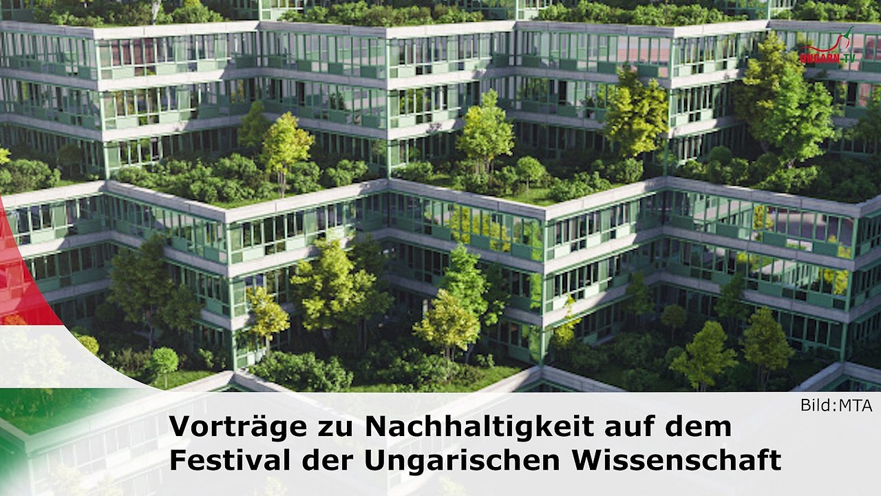 hallo ungarn – Kurznachrichten am 13.11.2024