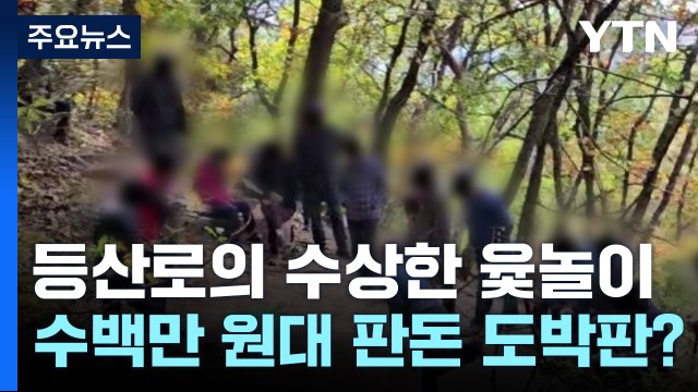 등산로의 수상한 윷놀이...잡고 보니 판돈 수백 도박판 / YTN