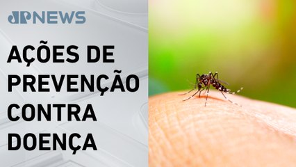 Governo de SP faz convocação para ‘Dia D’ de combate à dengue