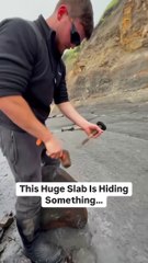 What Will Be INSIDE This HUGE Slab! 😱🐊🦖🔨