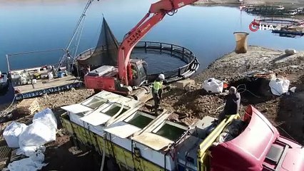 Denizi olmayan ilimizden dünyaya somon ihracatı