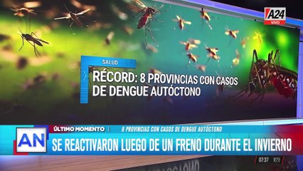 Alarma el por aumento temprano de casos de dengue autóctono