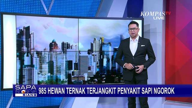Gejala Awal dan Penularan Wabah Sapi Ngorok pada Hewan Ternak, 985 Kasus di Bengkulu!