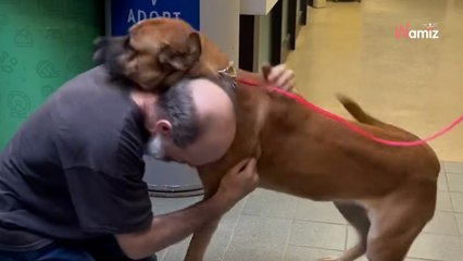 Un survivant du cancer réadopte le chien qu'il a été contraint d'abandonner (Vidéo)