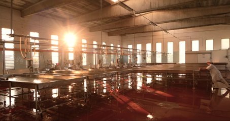 Parmigiano Reggiano Documentary 3