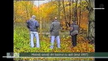 Mistreți salvați din bazinul cu apă (anul 1997)