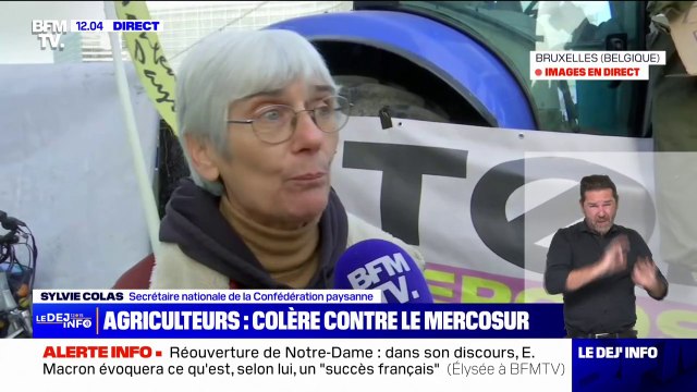UE-Mercosur: C'est la mort de beaucoup de paysans et de petites fermes , assure Sylvie Colas (Confédération paysanne) à Bruxelles