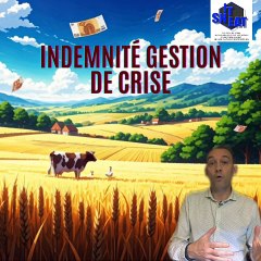 SNITEAT et indemnités Gestion de Crise