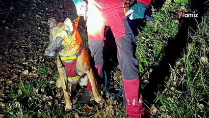 Somme : un chien au flair exceptionnel permet de retrouver une personne disparue en grande difficulté