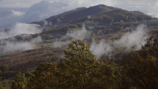 Parmigiano Reggiano di Montagna