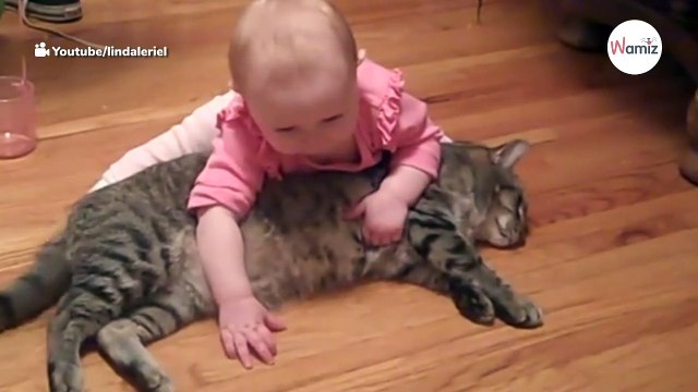 Widzi swoje roczne dziecko rzucające się na kota i nie mieści jej się w głowie, czego jest świadkiem!