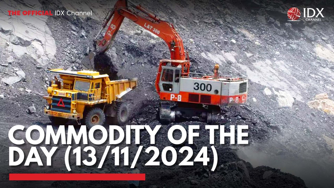 Commodity of the Day (13/11/2024)