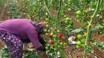 Eşi onu yıllar önce 5 çocuğuyla birlikte terk etmişti... 75 yaşında dimdik ayakta