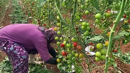 Eşi onu yıllar önce 5 çocuğuyla birlikte terk etmişti... 75 yaşında dimdik ayakta