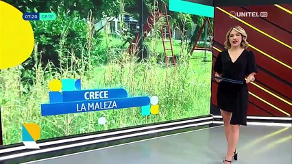 ​​​​​​​Vecinos denuncian canal lleno de maleza pese a que ya empezó la época de lluvia