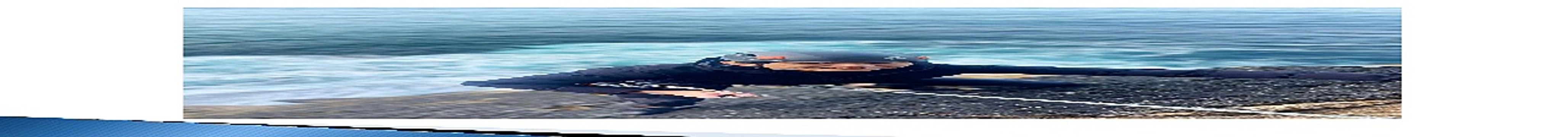 Hong Chong Yi Bold Ventures and Culture of Skydiving: Taking the Leap Beyond Limits