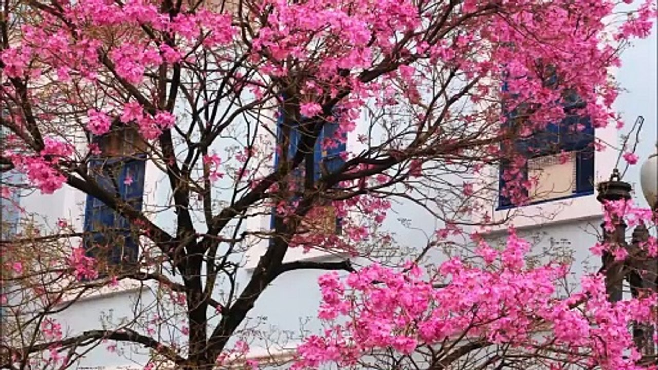 99 NAMES OF ALLAH IN URDU TRANSLATION!