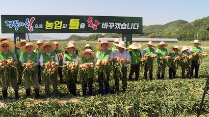 [경북] 영덕도 농업대전환 안착..."공동영농으로 생산액 4배↑" / YTN
