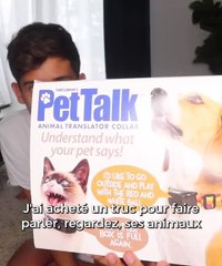 10 objets inutiles pour chien