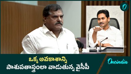 YSRCP in Council: మండలిపై పట్టు కోసం తీవ్రంగా శ్రమిస్తున్న వైసీపీ | Oneindia Telugu