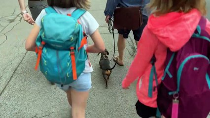 Auf den Spuren von Albert Schweitzer: Ein faszinierender Blick auf die Briesnitzer Ameisen 🐜